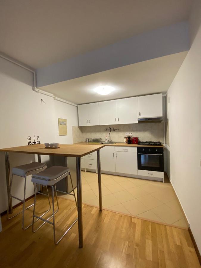 Ioana'S Apartament Apartman Sinaia Kültér fotó